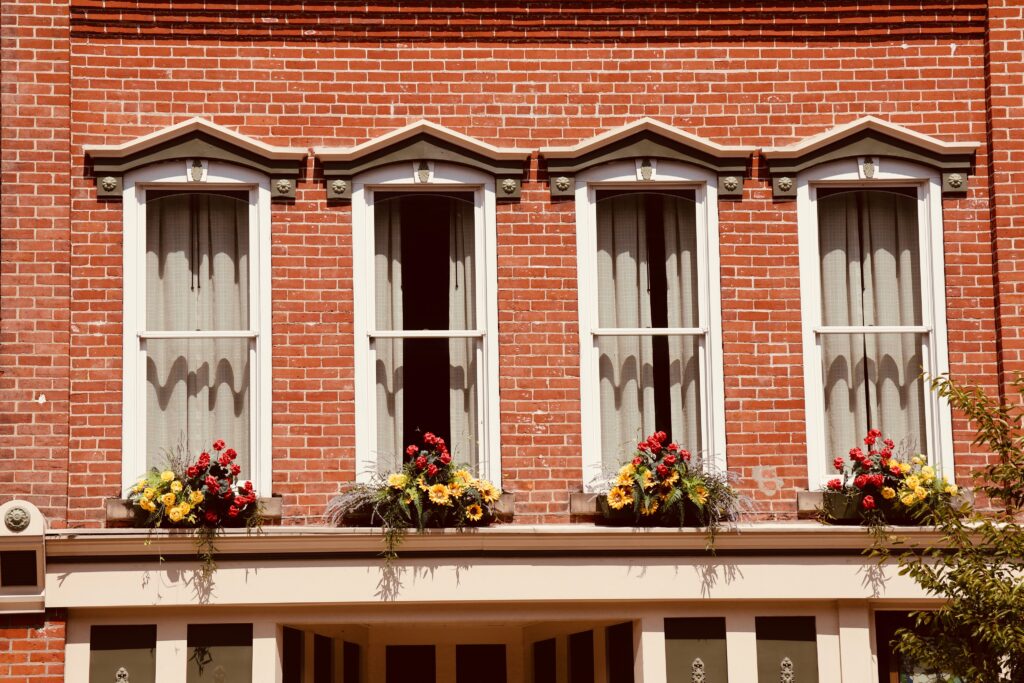 Potted plants on a single-hung window sill demonstrate the importance of having a window that complements the design and architecture of a space.