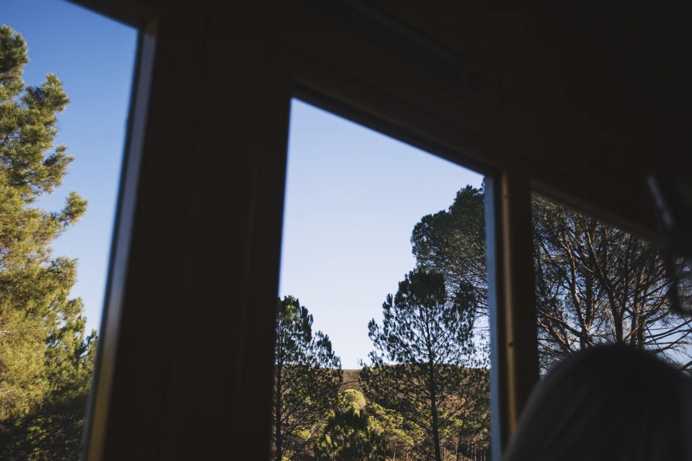 Large windows showing an outdoor landscape with many trees and natural light.