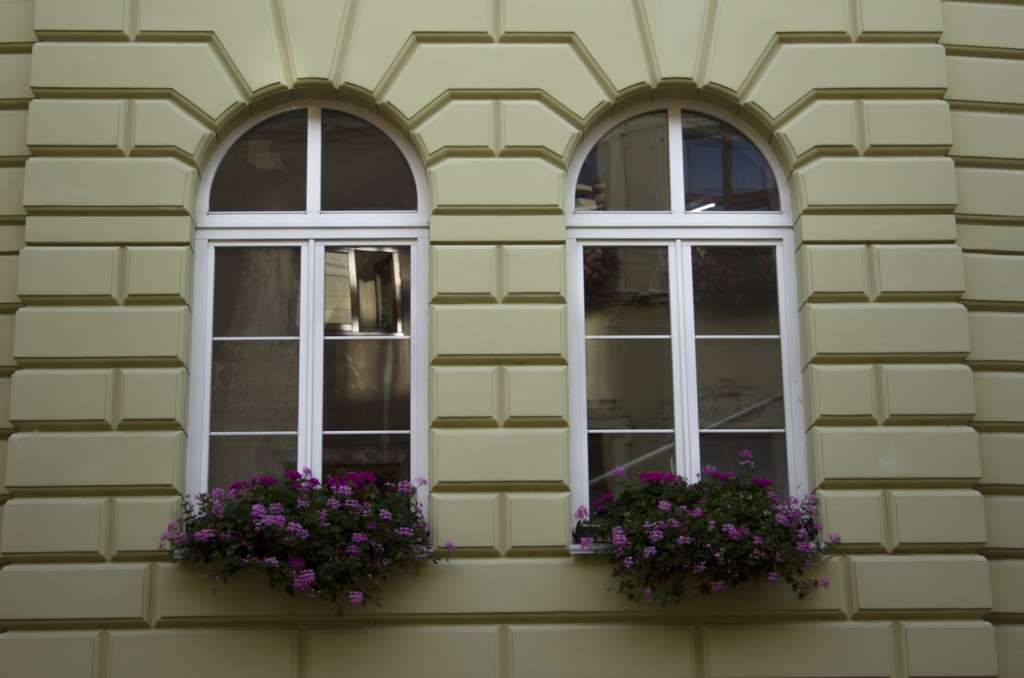 Newly installed windows with vibrant flowers on the window sill, showcasing the expertise of a specialized contractor.